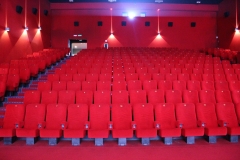 multiplex-le-giraffe-paderno-dugnano-1
